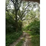 Old School Nausdorf Leuengarten