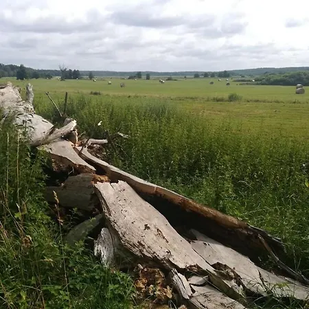 Old School Nausdorf *