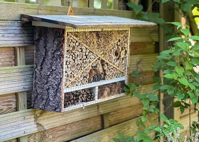 Old School Nausdorf *