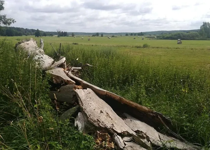 Old School Nausdorf *