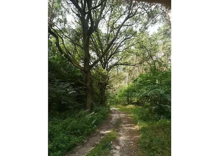 Old School Nausdorf Leuengarten